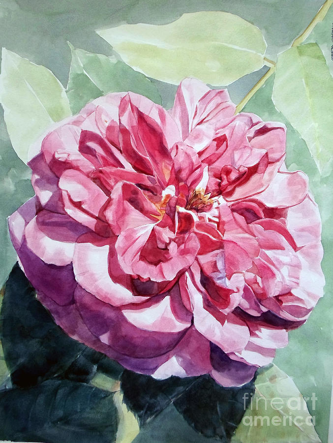 Watercolor of a Pink Rose in Full Bloom Dedicated to Van Gogh Painting by Greta Corens