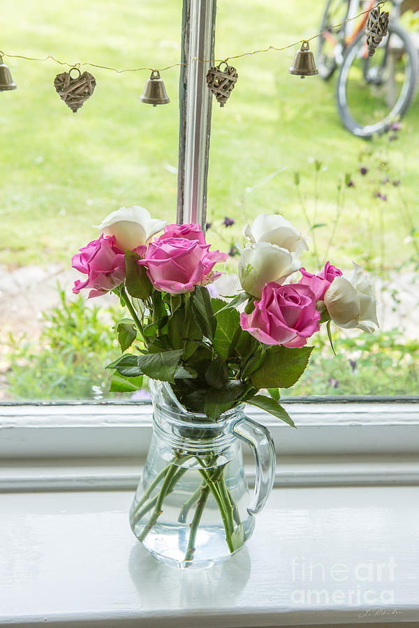 Vase Photograph - Rose Vase with Hearts by Iris Richardson