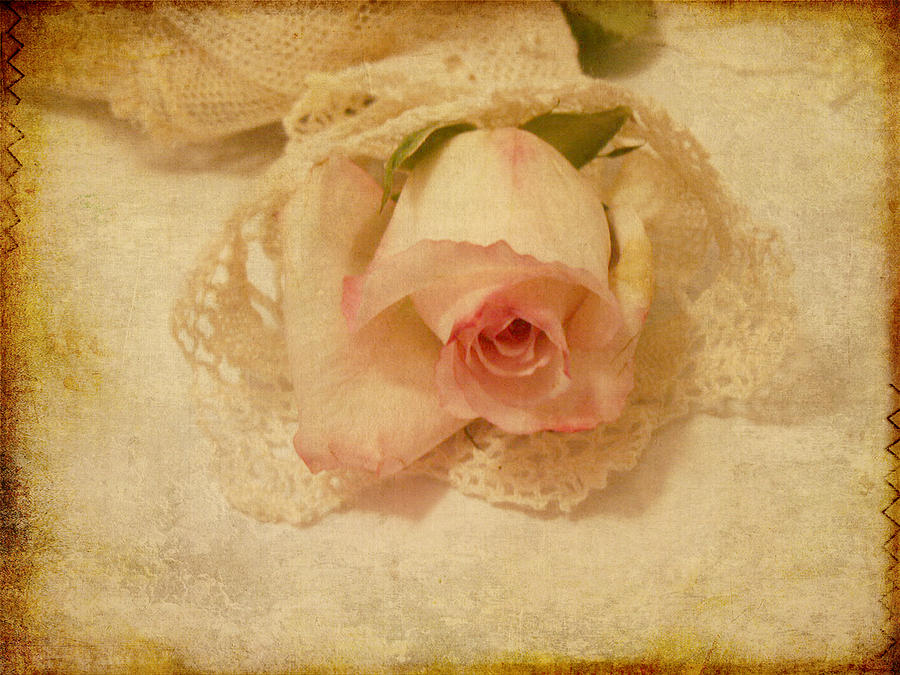 Rose With Vintage Feel Photograph by Sandra Foster