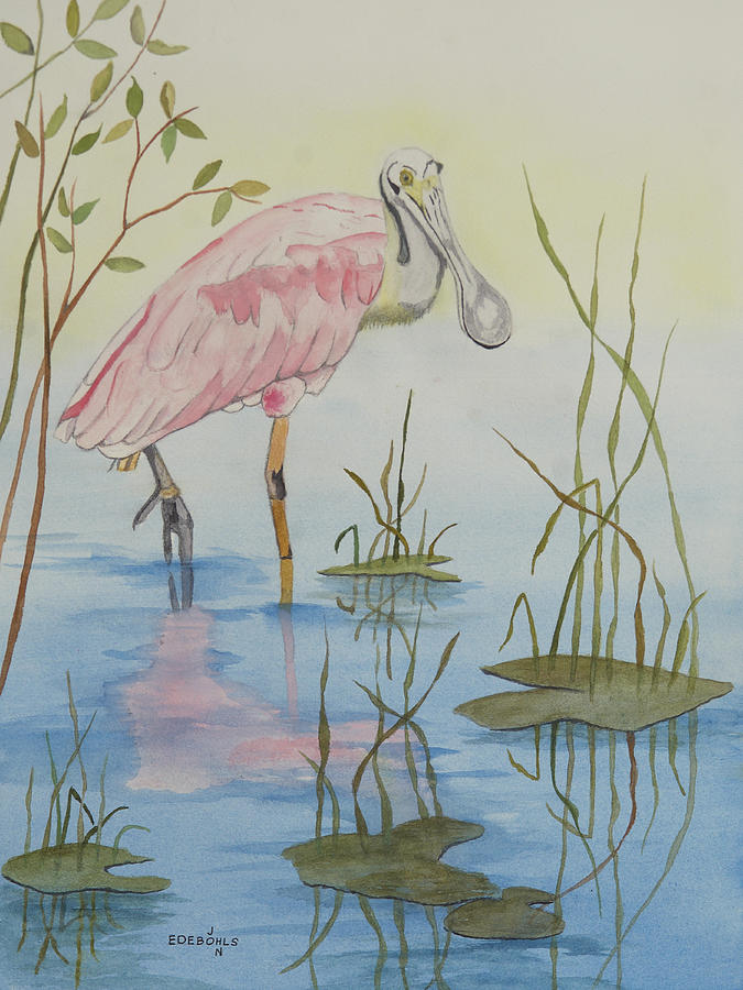 Bird Painting - Roseate Spoonbill by John Edebohls