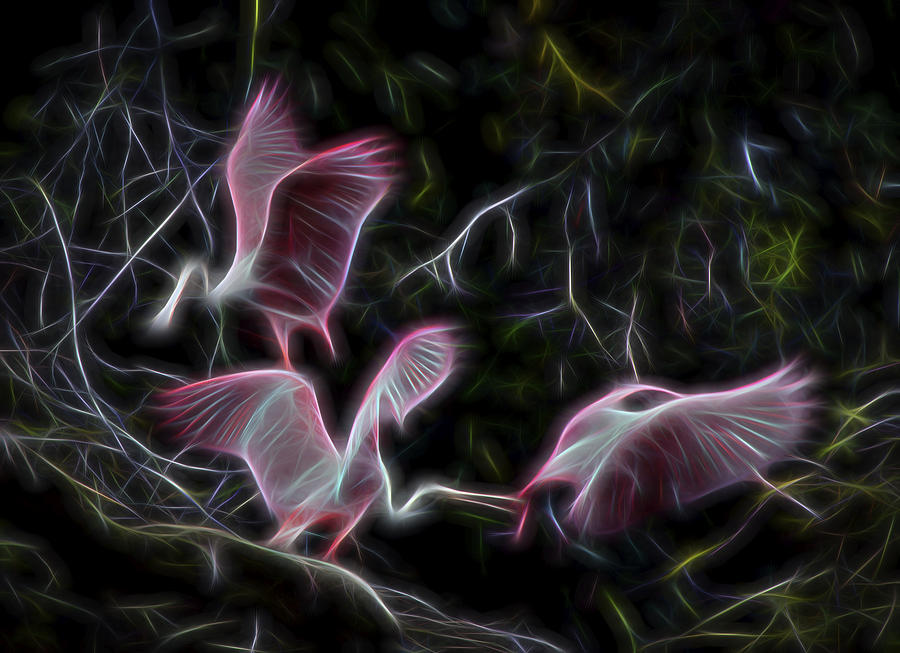Roseate Spoonbills 1 Digital Art by William Horden