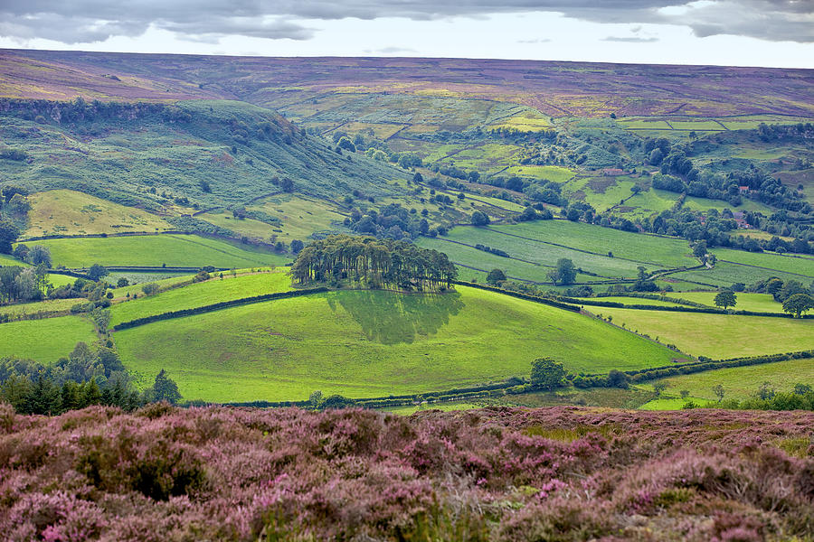 Rosedale in August Photograph by Mark Egerton