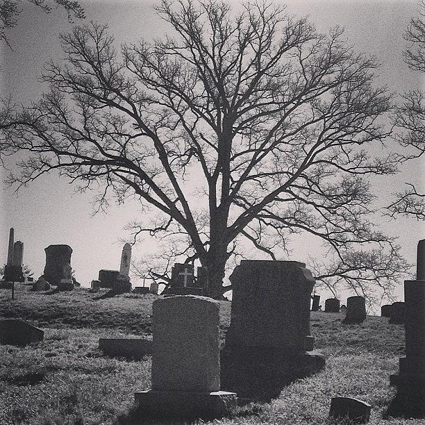 Newburgh Photograph - #rosehill Cemetery #newburgh #indiana by Melissa Lutes