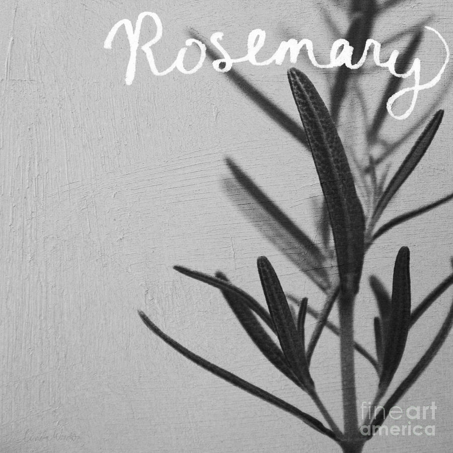 Rosemary Mixed Media - Rosemary by Linda Woods