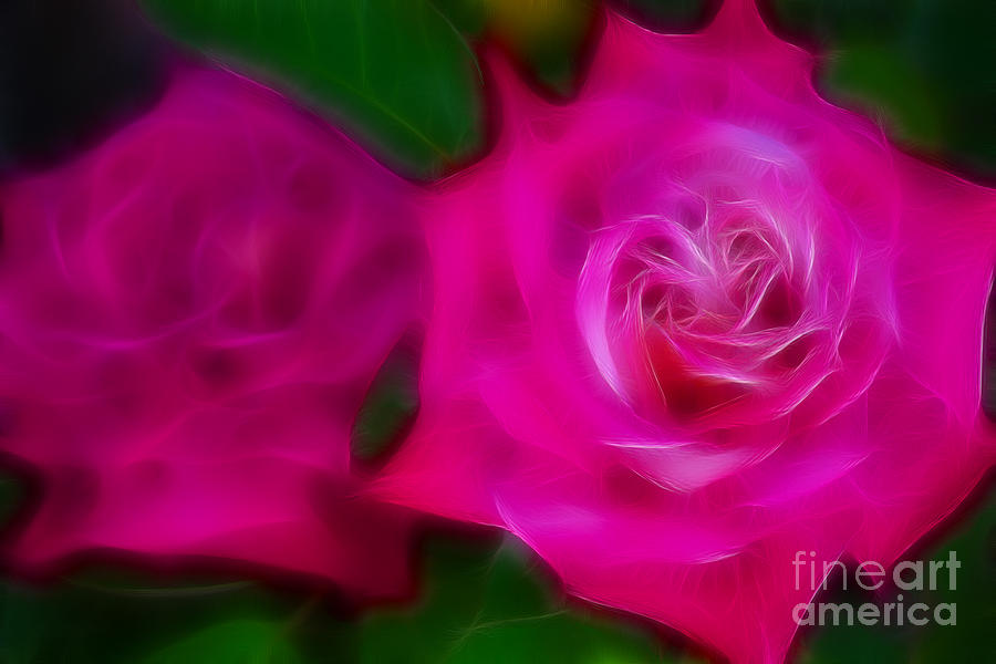 Flower Photograph - Roses 6235-Fractal by Gary Gingrich Galleries