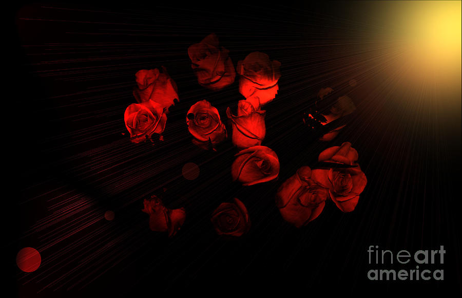 Rose Photograph - Roses and Black by Oksana Semenchenko