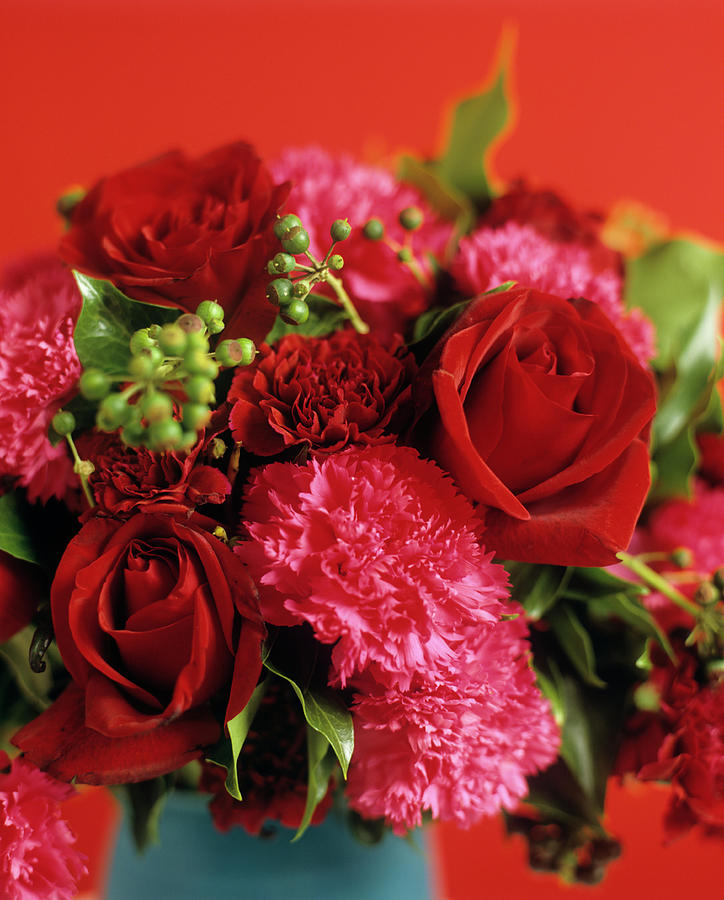 Roses And Carnations Photograph by Rowland Roques Oneil/ Science Photo Library