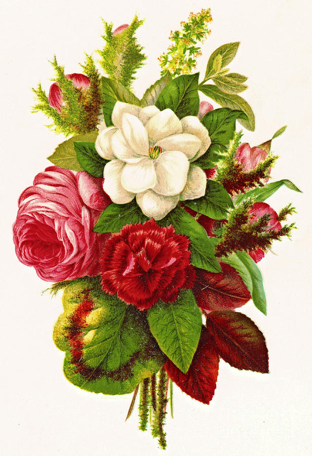 Roses and Pinks 1874 Photograph by Padre Art