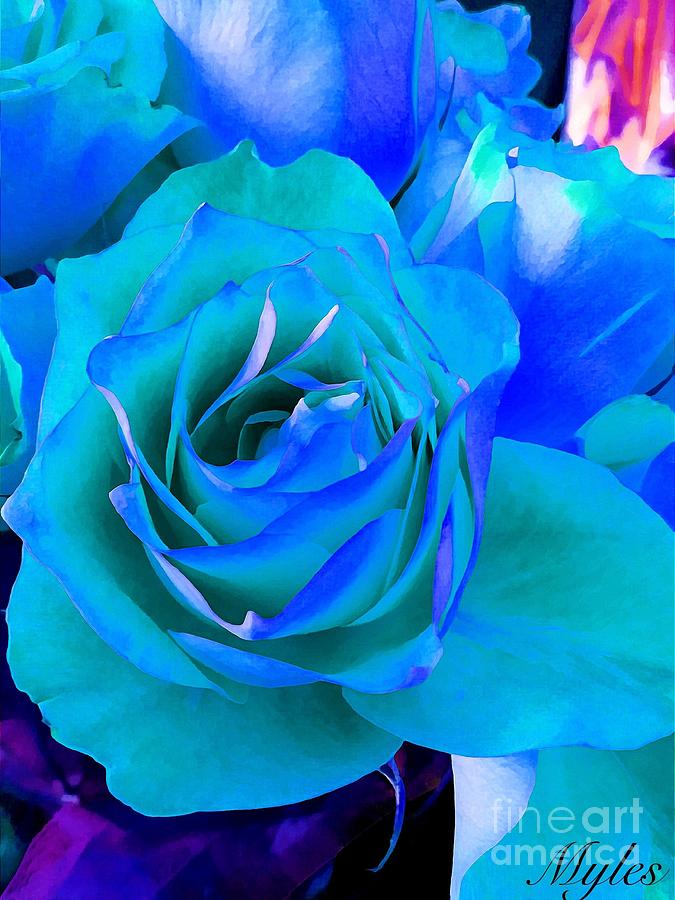 Roses are Blue  Photograph by Saundra Myles