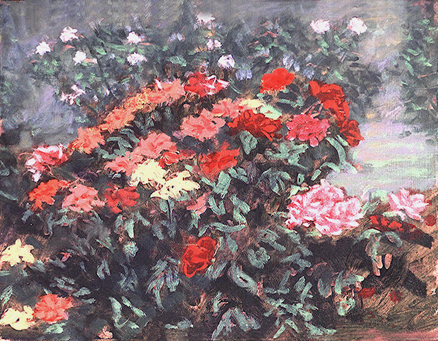 Roses Are Red and White and Pink Painting by David Zimmerman