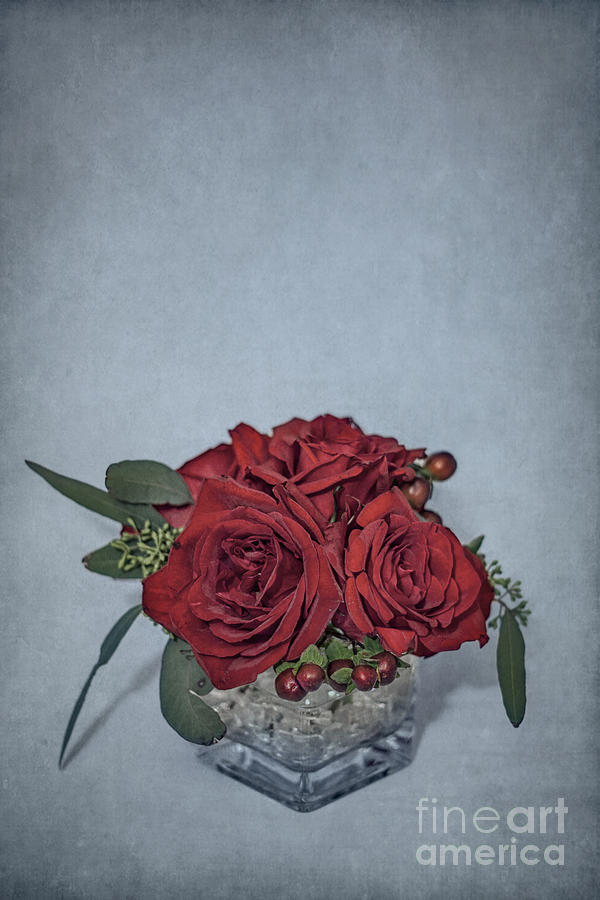 Rose Photograph - Roses Are Red... by Evelina Kremsdorf