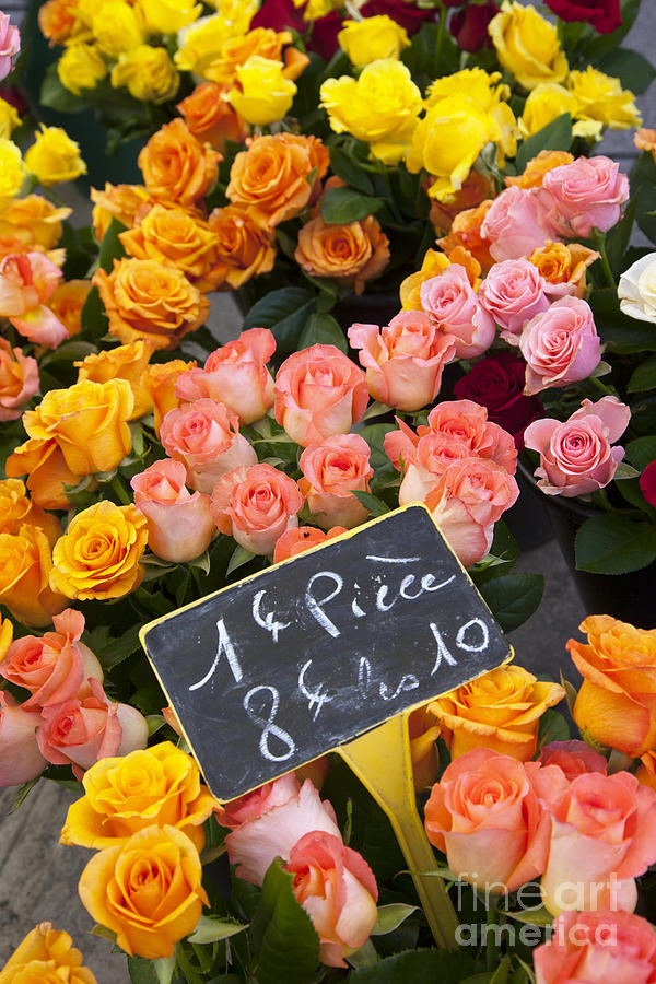 Roses at Flower Market Photograph by Brian Jannsen