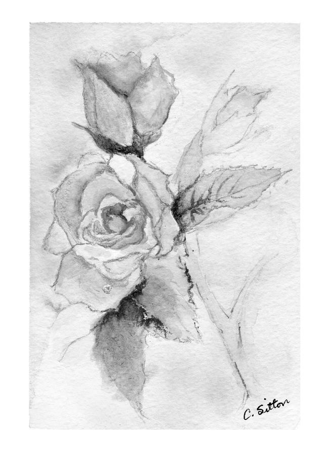 Roses Black and White Painting by C Sitton