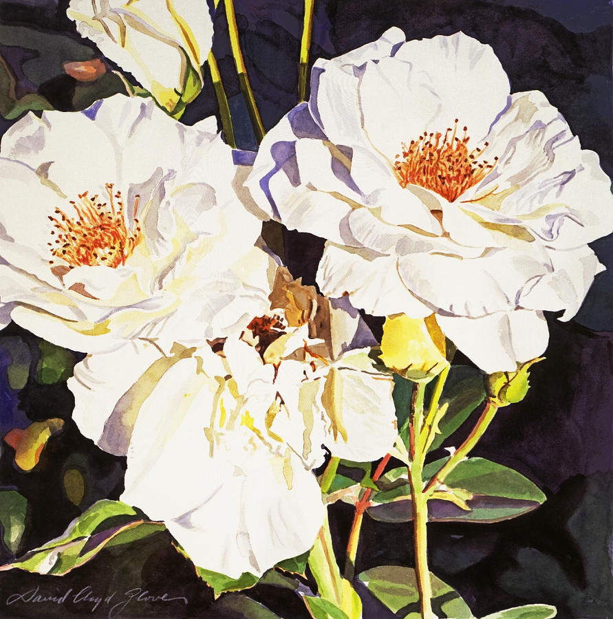 Rose Painting - Roses Blanc by David Lloyd Glover