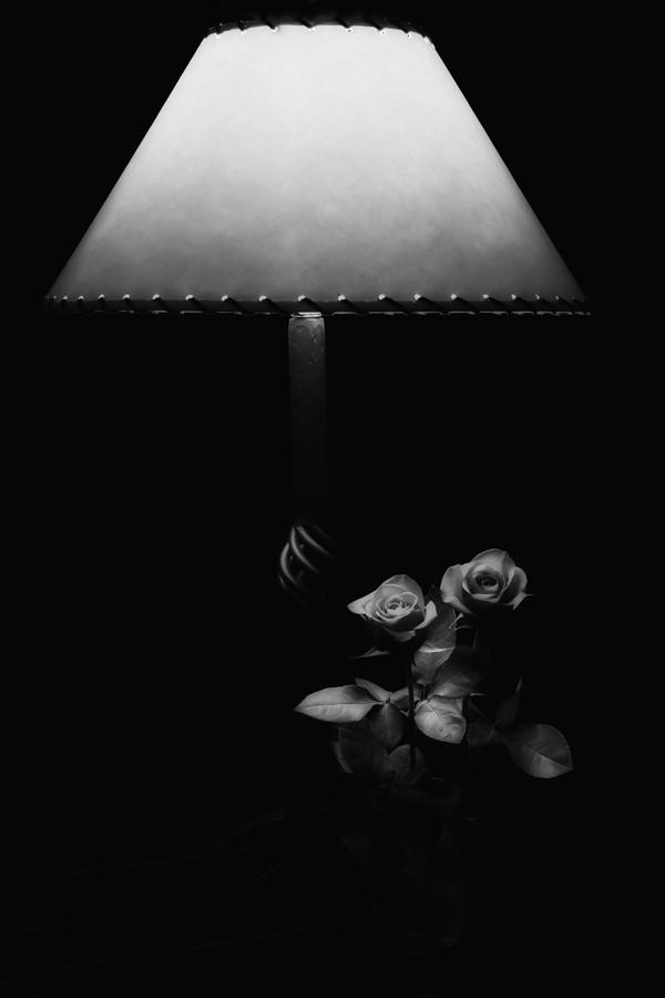 Roses by Lamplight BW Photograph by Ron White