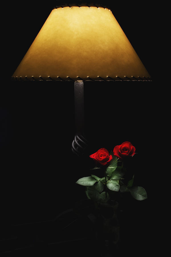 Roses by Lamplight Photograph by Ron White