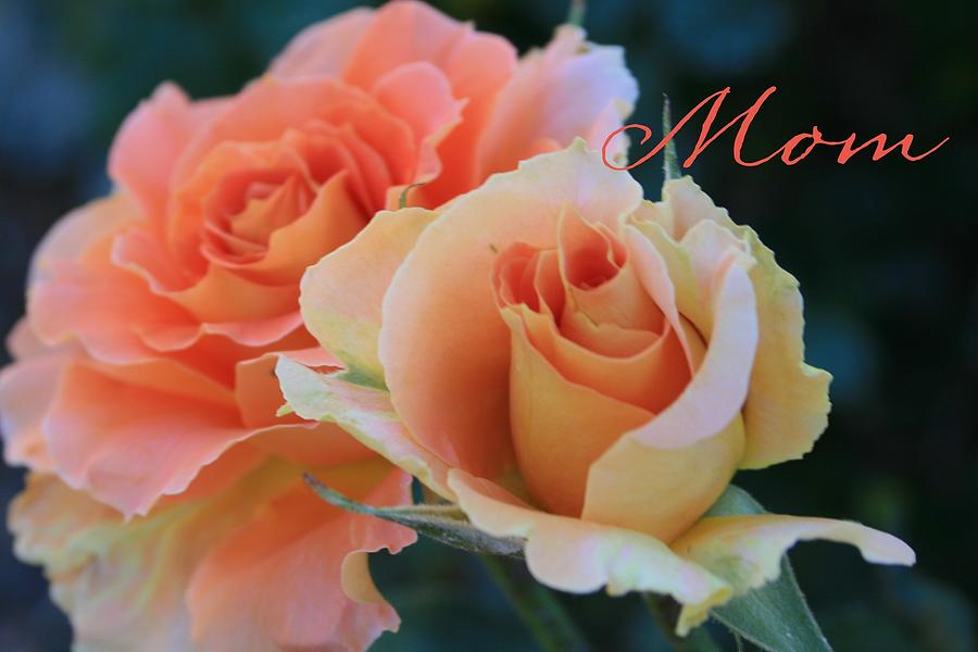Roses for Mom Photograph by Marna Edwards Flavell