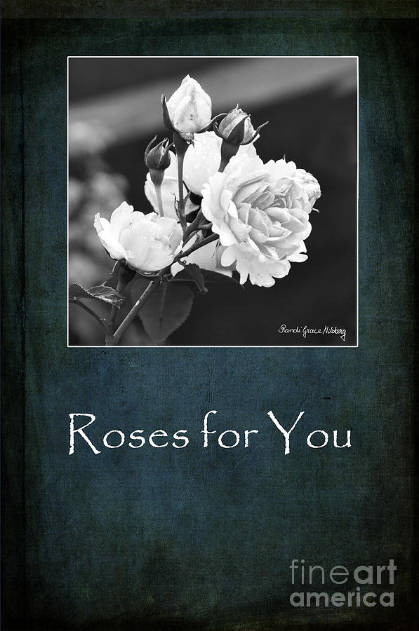 Roses for You Photograph by Randi Grace Nilsberg