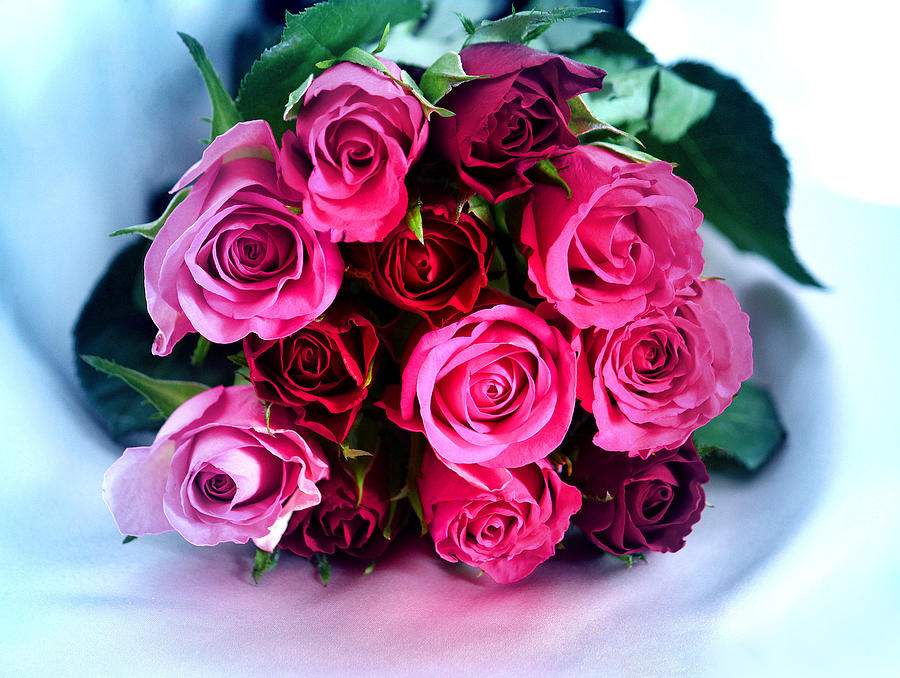 Roses From My Heart Photograph