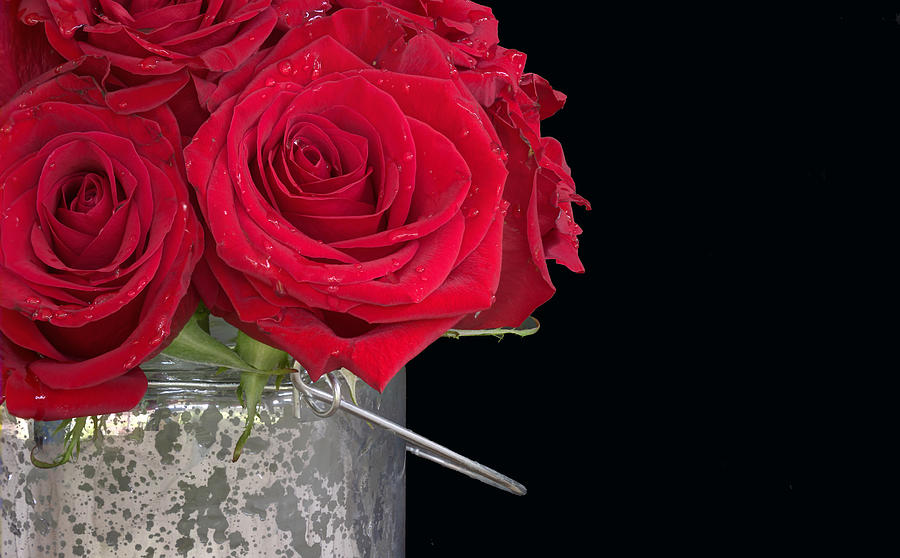Rose Photograph - Roses in a Bucket 02 by Phil And Karen Rispin