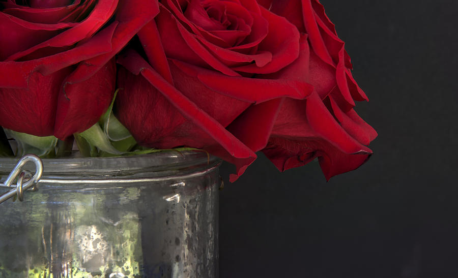Rose Photograph - Roses in a Bucket by Phil And Karen Rispin
