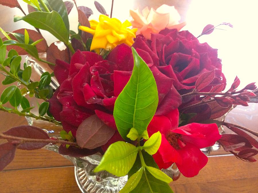 Roses in a Crystal Vase Photograph by Alan Lakin - Pixels