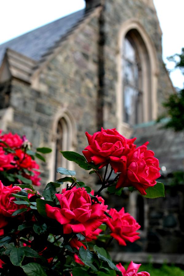 Roses in front of the Swedenborg Chapel Photograph by Toby McGuire ...