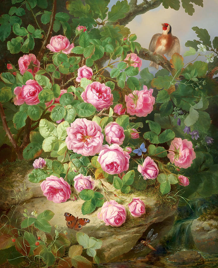 Rose Painting - Roses in Nature by Mountain Dreams
