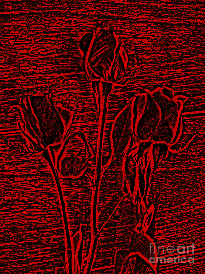 Rose Digital Art - Roses in Red and Black Textured Digitally Enhanced Photograph Art by Adri Turner