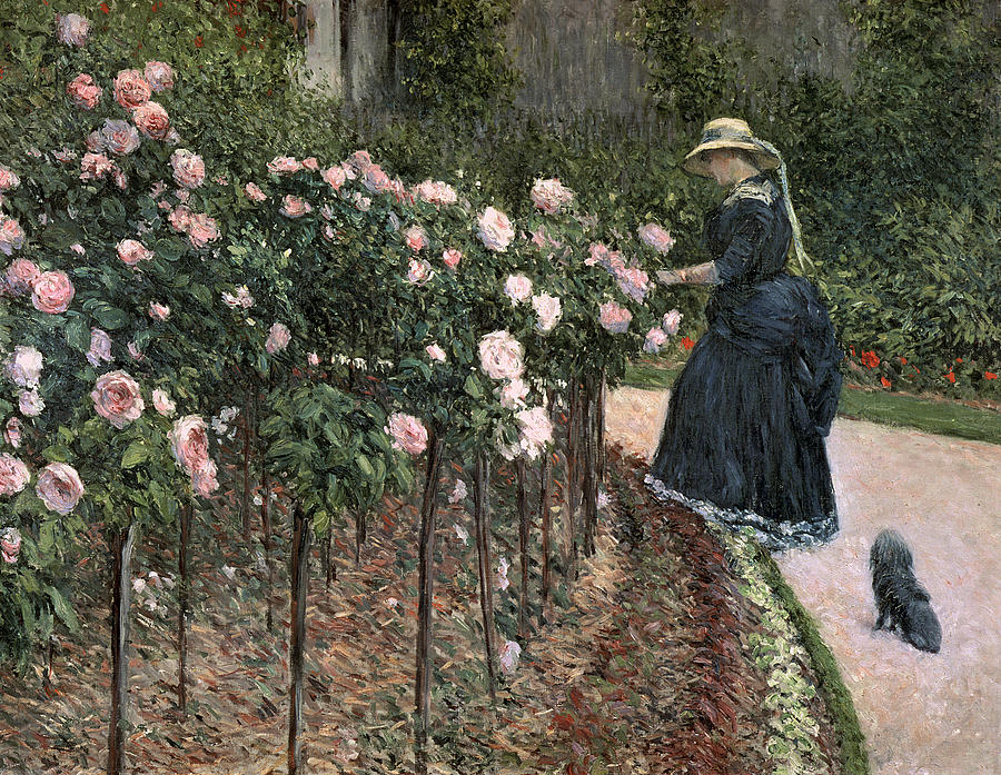 Flower Painting - Roses in the Garden at Petit Gennevilliers by Gustave Caillebotte