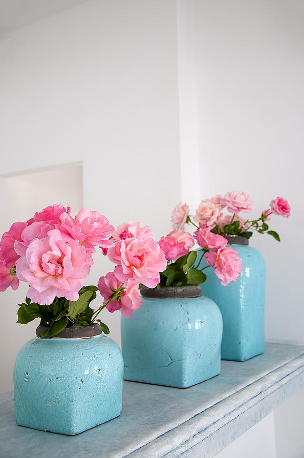 Roses in Turquoise Pots Photograph by Brenda Kean