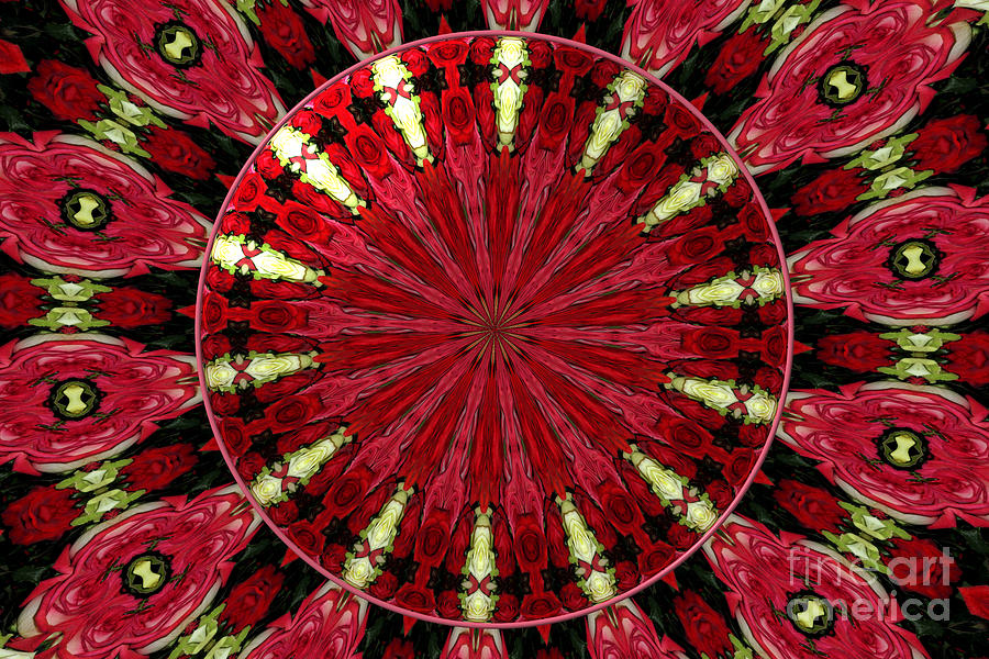 Roses Kaleidoscope Under Glass 11 Photograph
