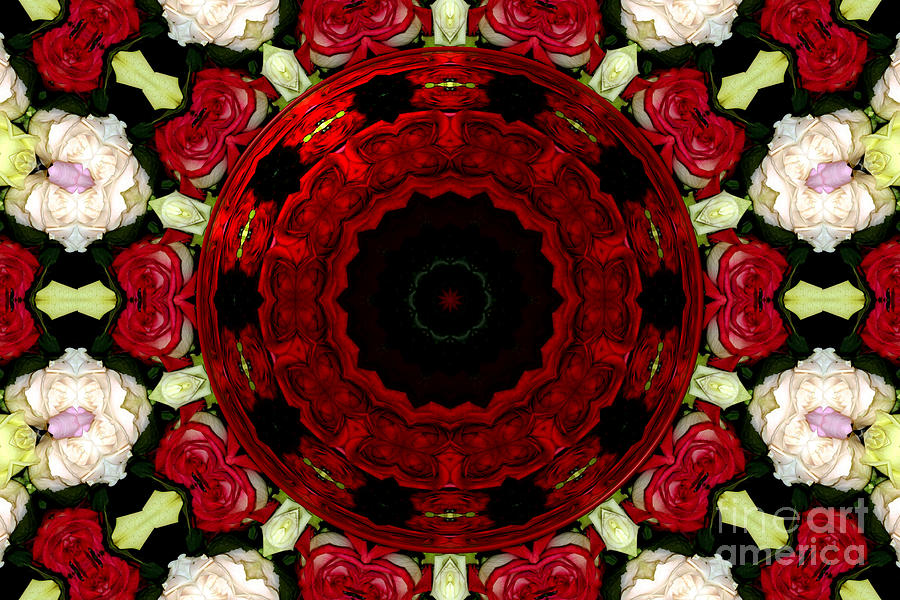 Roses Kaleidoscope Under Glass 29 Photograph by Rose Santuci-Sofranko