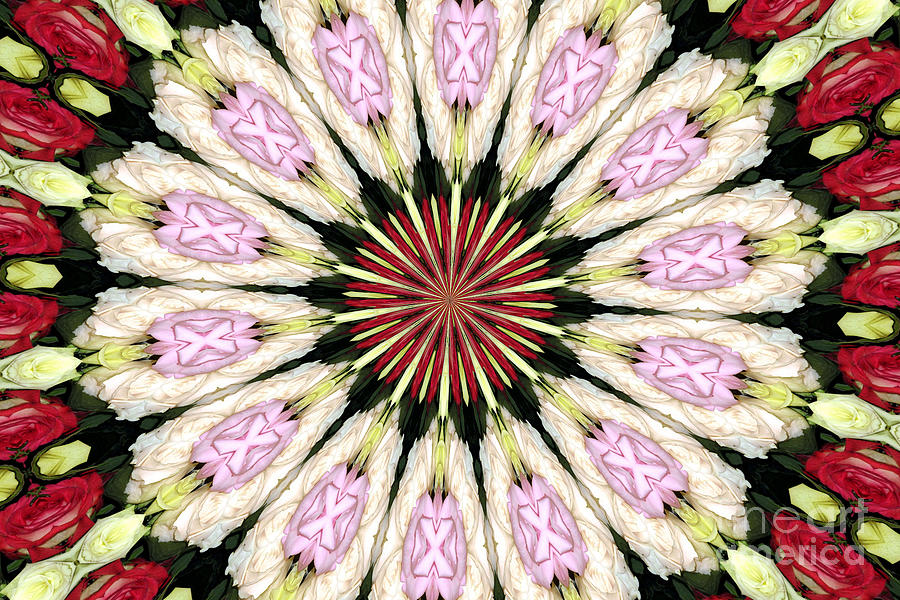 Roses Kaleidoscope X Marks The Spot Photograph by Rose Santuci-Sofranko