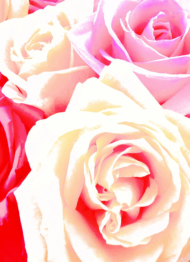 Roses Digital Art by Kara  Stewart