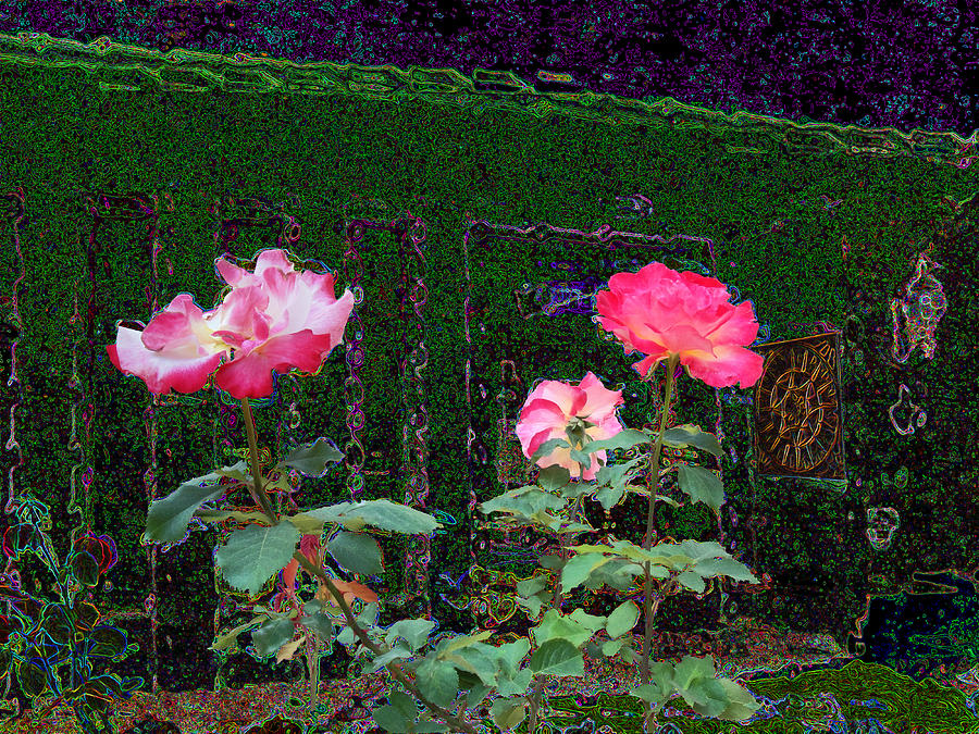 Roses Of South Pasadena 1 Photograph by Kenneth James
