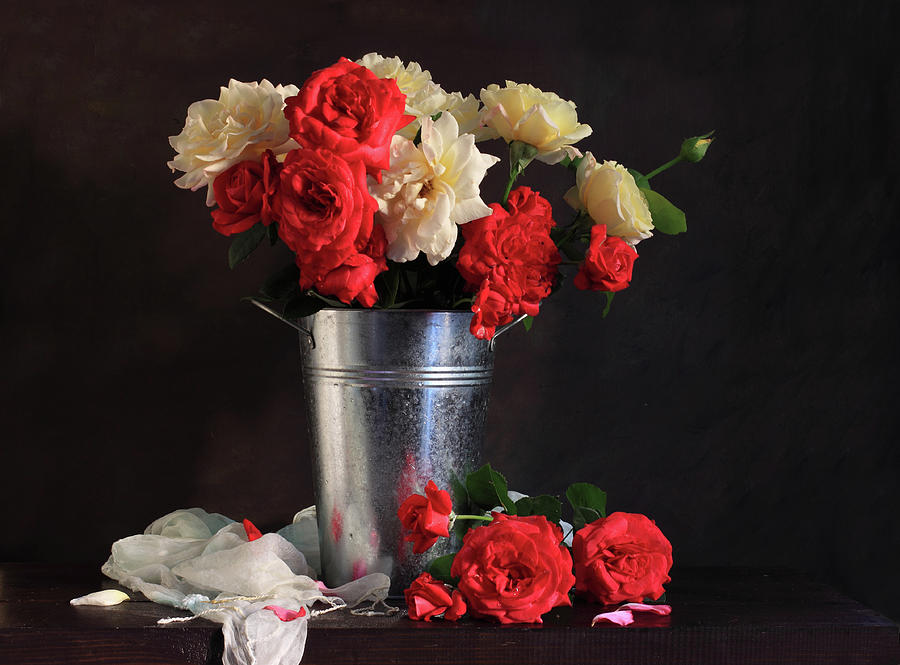 Roses Of Yesterday Photograph by Panga Natalie Ukraine
