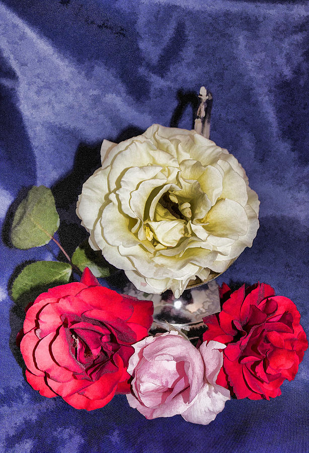 Roses on blue 2 Photograph by Cathy Anderson