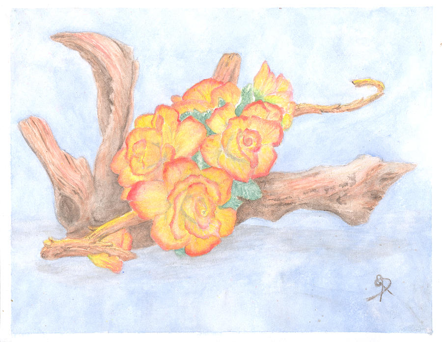 Roses On Wood Drawing