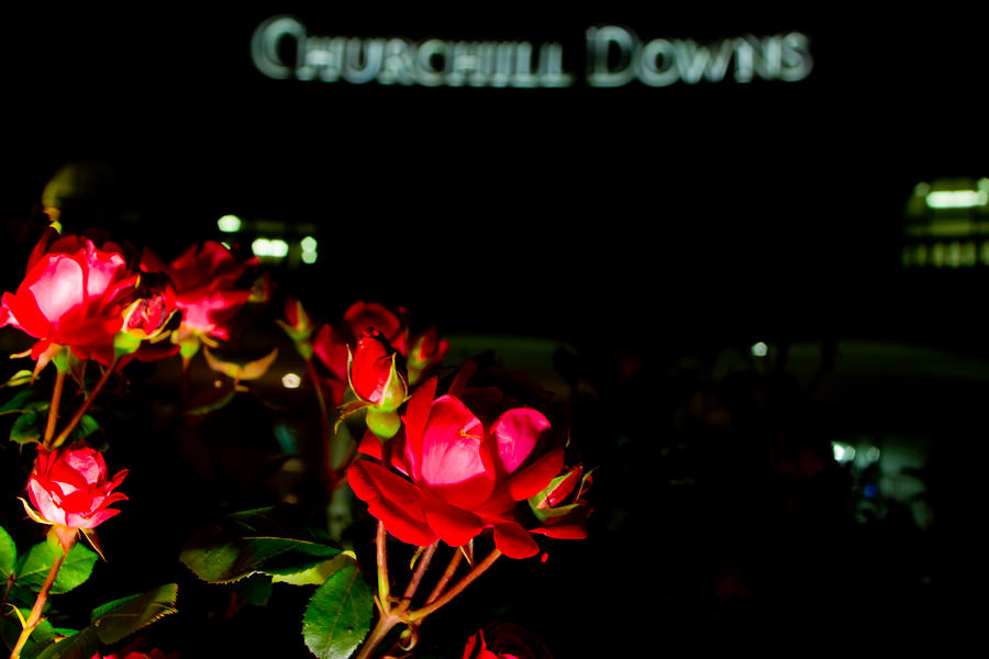Roses outside Churchill Downs  Photograph by John McGraw