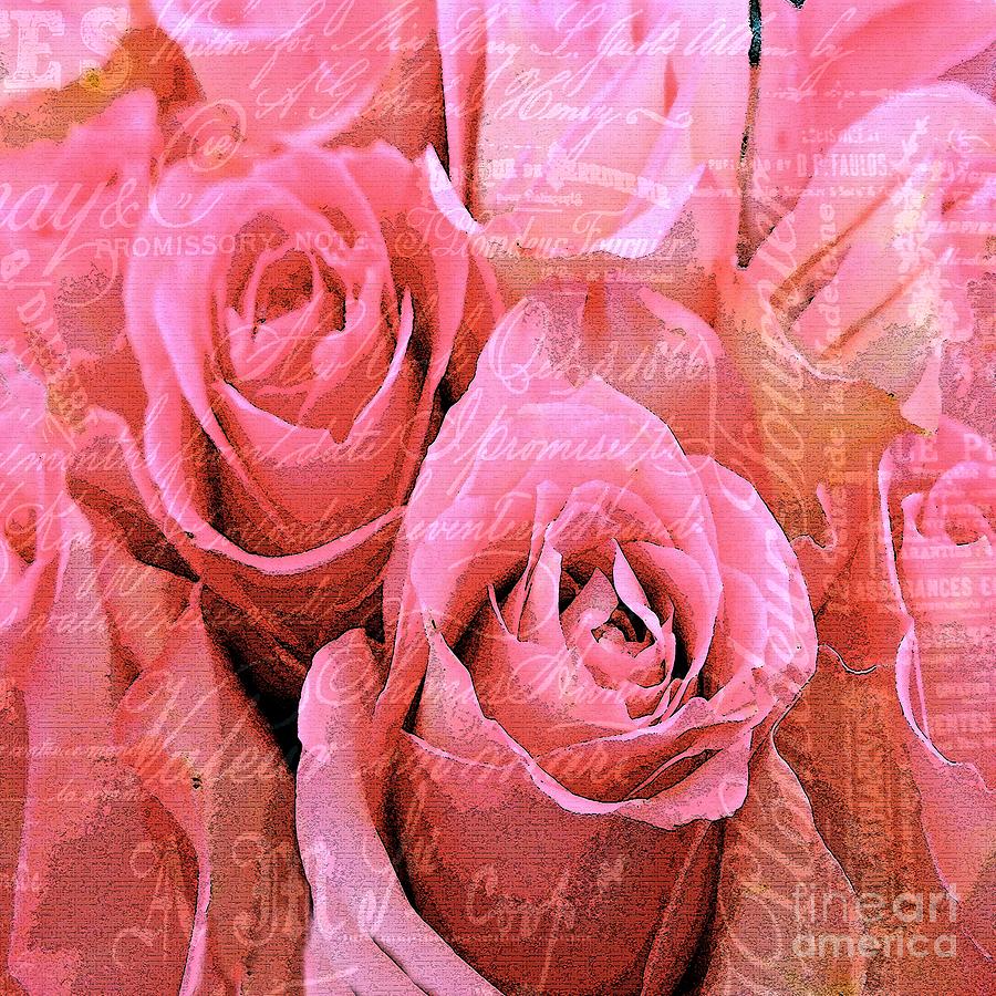 Roses Pink and Pretty Photograph by Saundra Myles