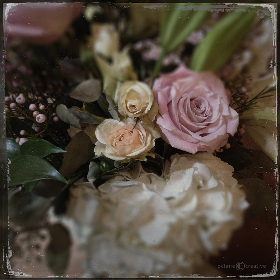 Roses Photograph by Tim Nyberg
