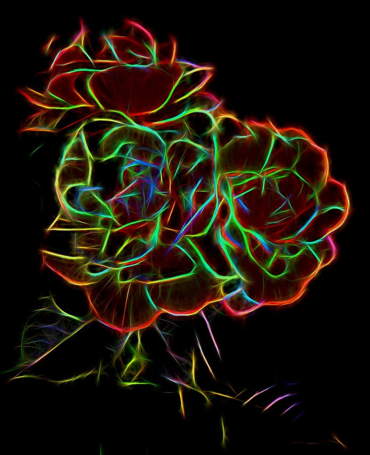 Roses with Neon Outlines Photograph by Linda Phelps