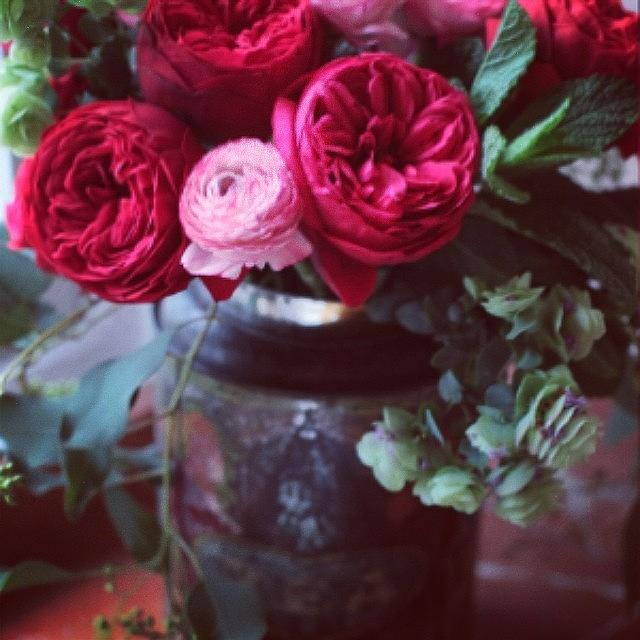 Rose Photograph - #roses#vintagetin by Susan Findlay