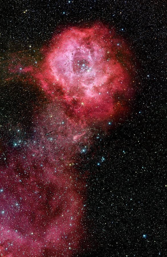 Rosette Nebula (ngc 2244) Photograph by Adam Block/science Photo Library