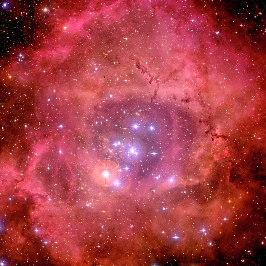 Space Photograph - Rosette Nebula (ngc 2244) by Canada-france-hawaii Telescope/jean-charles Cuillandre/science Photo Library