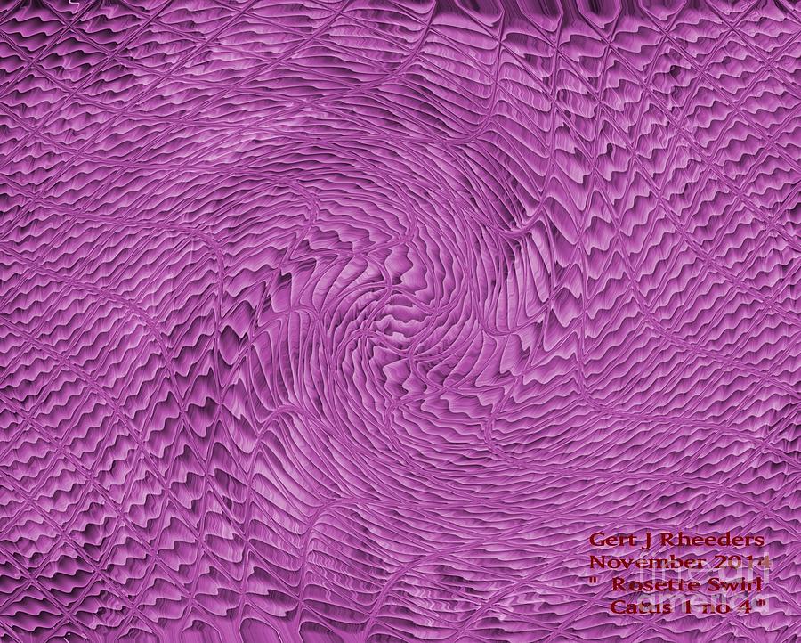 Rosette Swirl Catus 1 No 3 H Photograph