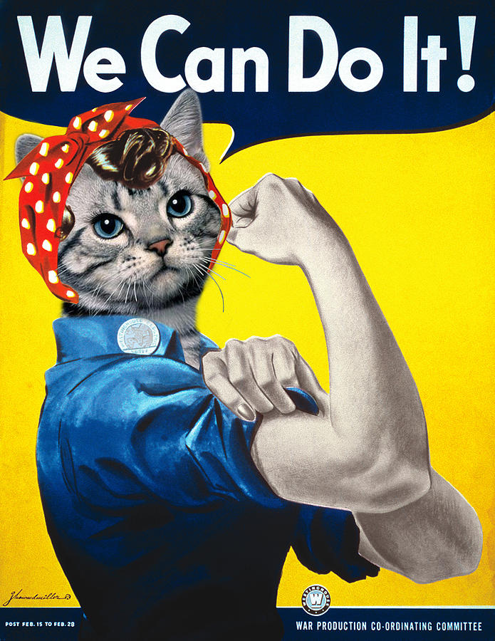 Baby we can. We can do it. Yes we can do it плакат. Плакат i can do it. We can do it котик.
