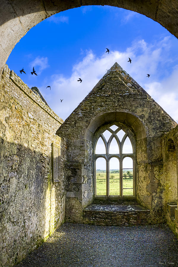 Ross Errilly Friary - Irish Monastic Ruins Photograph by Mark E Tisdale