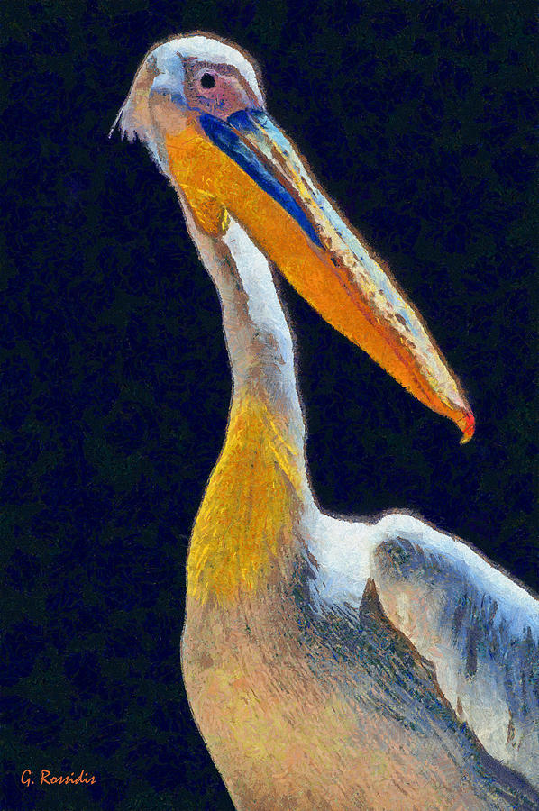 Rosy pelican Painting by George Rossidis